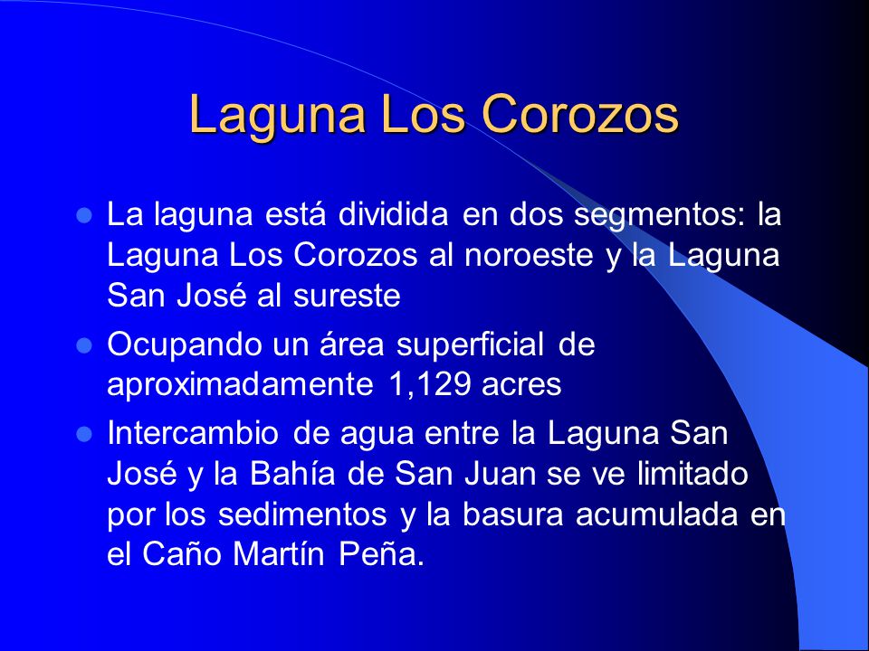 Laguna Los Corozos La laguna está dividida en dos segmentos: la Laguna Los Corozos al noroeste y la Laguna San José al sureste.