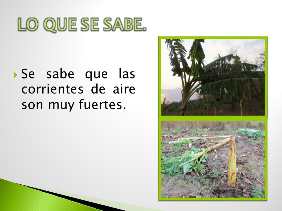 LO QUE SE SABE. Se sabe que las corrientes de aire son muy fuertes.