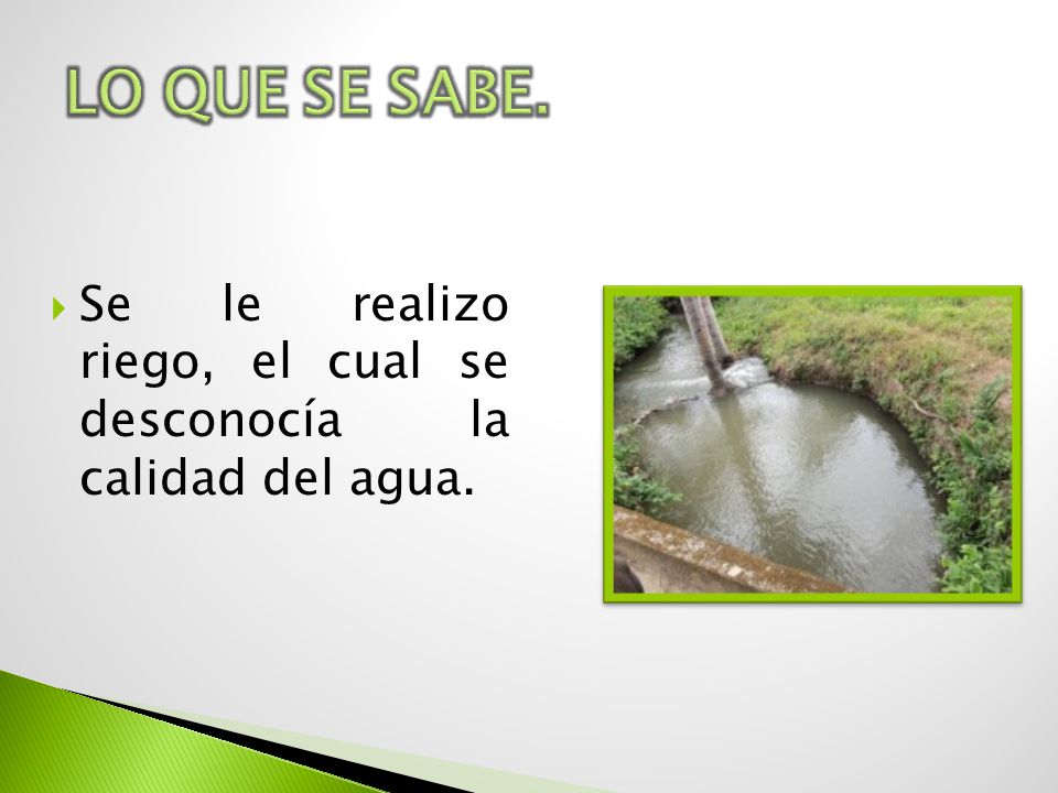 LO QUE SE SABE. Se le realizo riego, el cual se desconocía la calidad del agua.