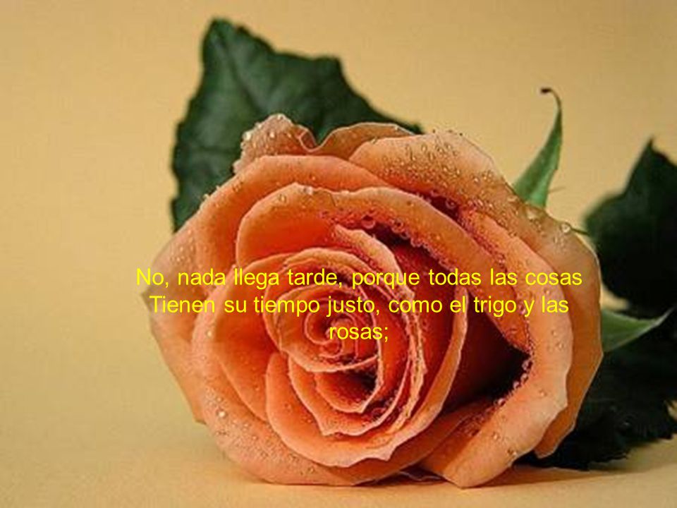 Balada del loco amor No, nada llega tarde, porque todas las cosas