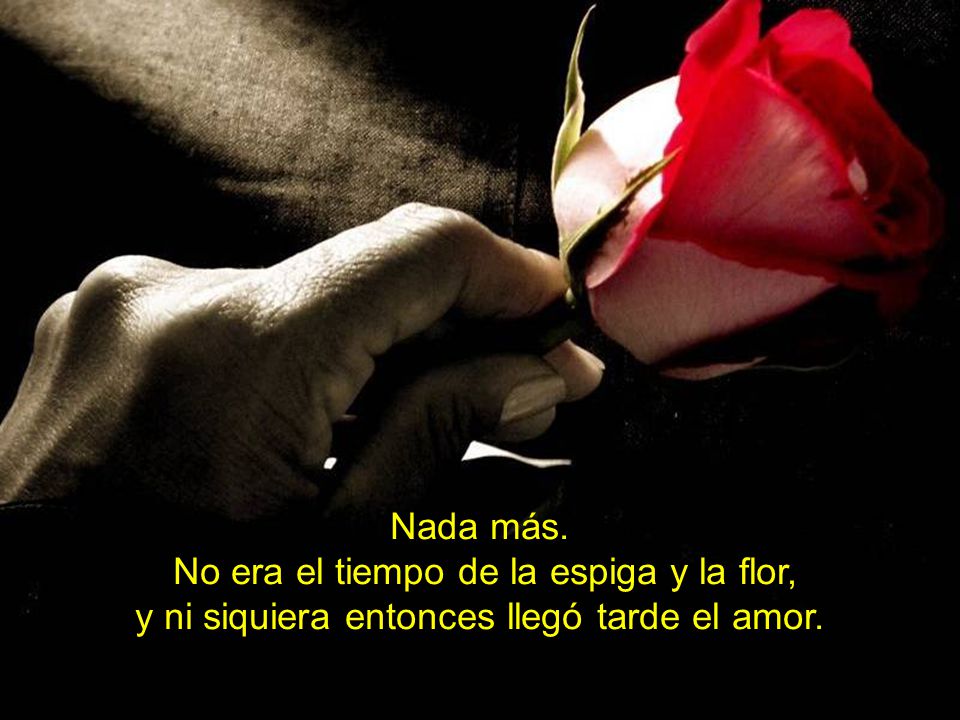 Nada más. No era el tiempo de la espiga y la flor, y ni siquiera entonces llegó tarde el amor.