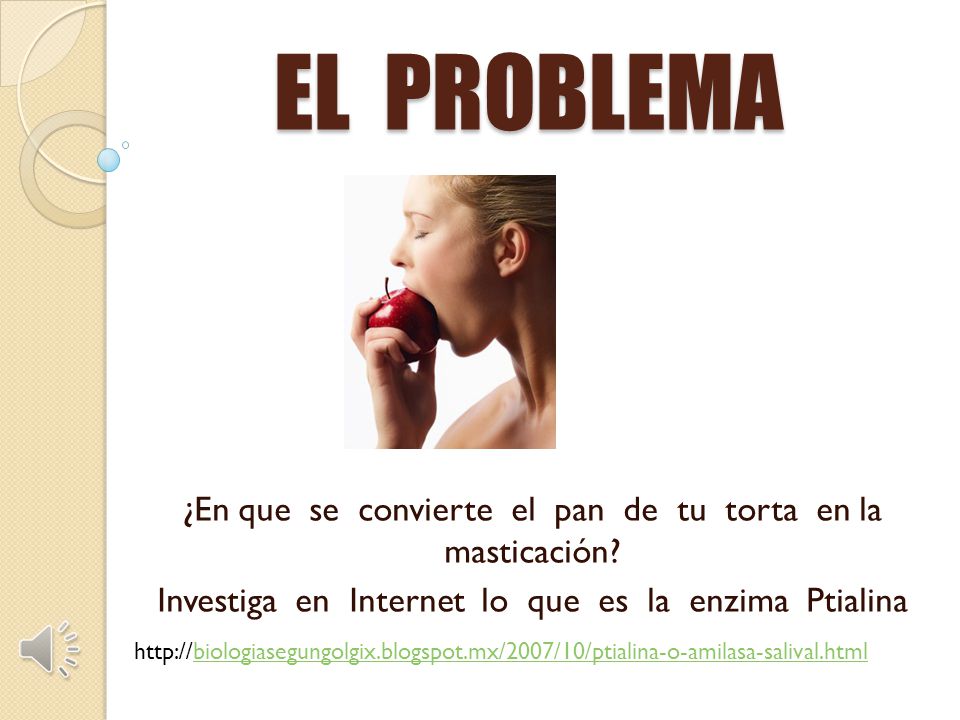 EL PROBLEMA ¿En que se convierte el pan de tu torta en la masticación