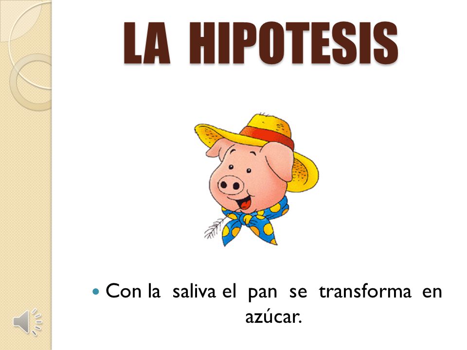 Con la saliva el pan se transforma en azúcar.