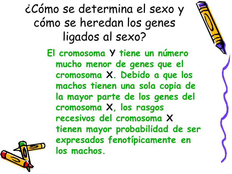 ¿Cómo se determina el sexo y cómo se heredan los genes ligados al sexo