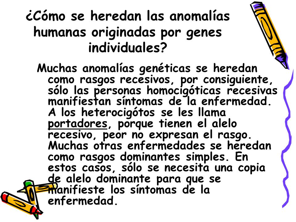 ¿Cómo se heredan las anomalías humanas originadas por genes individuales