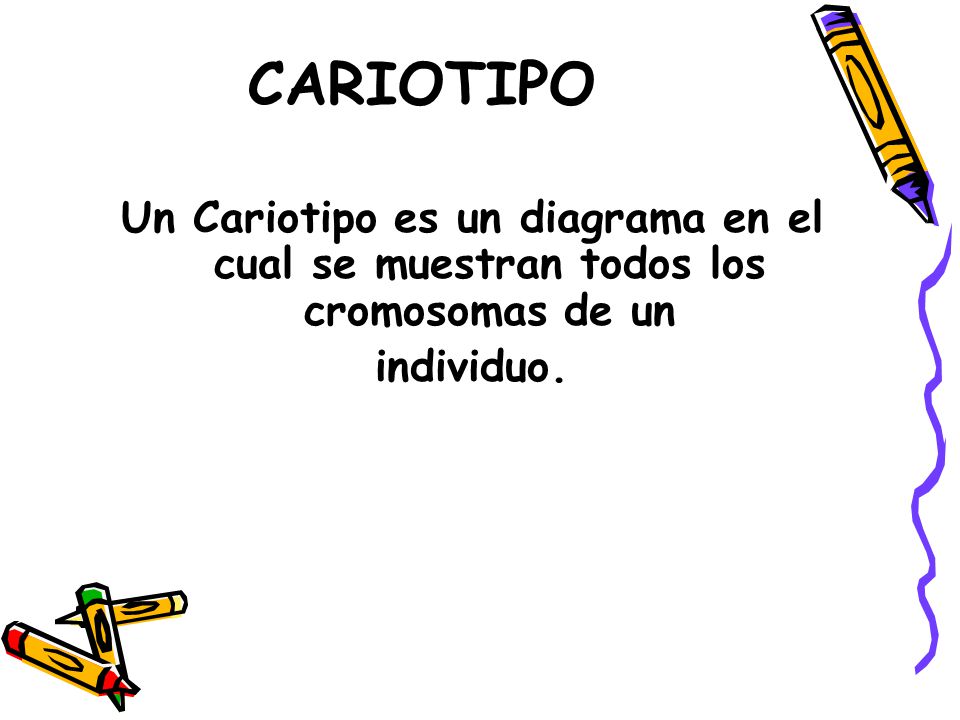 CARIOTIPO Un Cariotipo es un diagrama en el cual se muestran todos los cromosomas de un individuo.