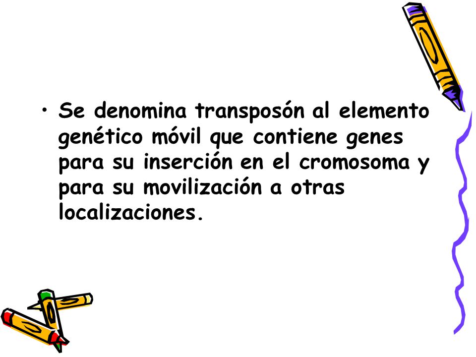 Se denomina transposón al elemento genético móvil que contiene genes para su inserción en el cromosoma y para su movilización a otras localizaciones.