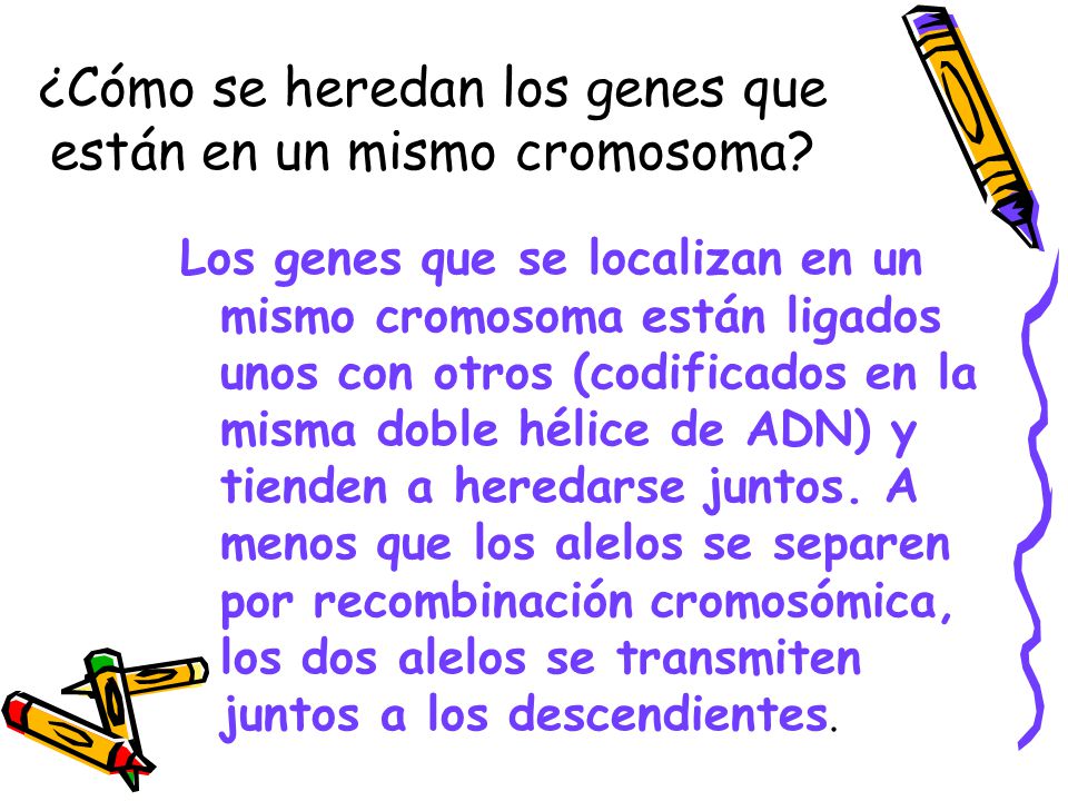 ¿Cómo se heredan los genes que están en un mismo cromosoma