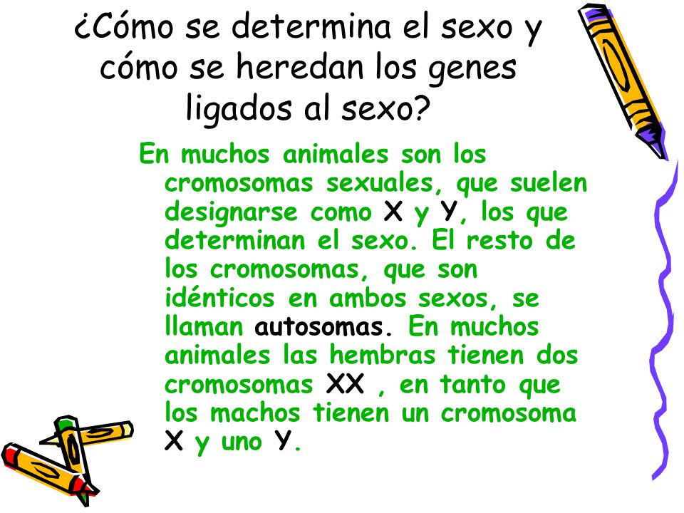 ¿Cómo se determina el sexo y cómo se heredan los genes ligados al sexo