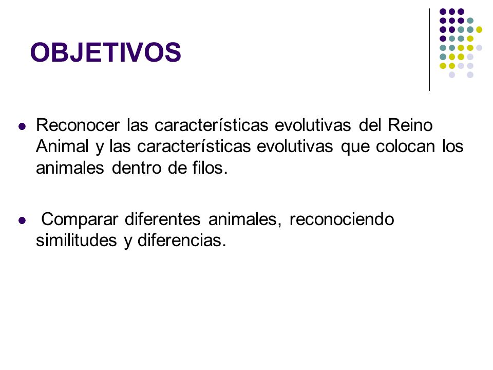 OBJETIVOS Reconocer las características evolutivas del Reino Animal y las características evolutivas que colocan los animales dentro de filos.