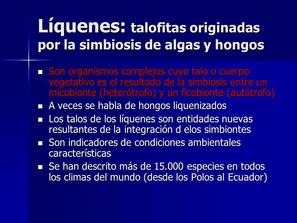 Líquenes: talofitas originadas por la simbiosis de algas y hongos