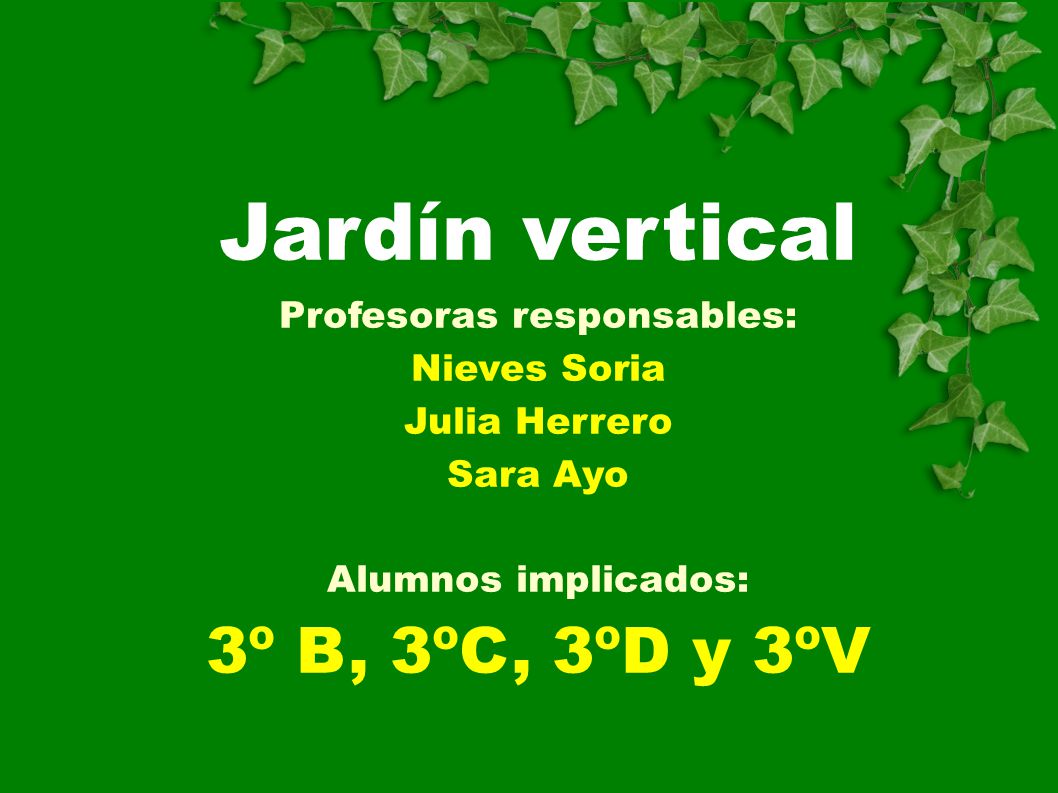 Profesoras responsables: