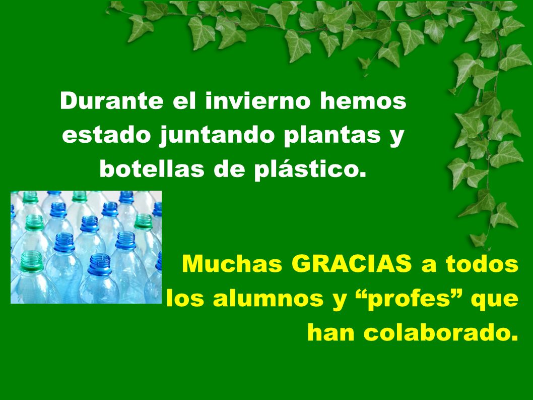 Durante el invierno hemos estado juntando plantas y botellas de plástico.