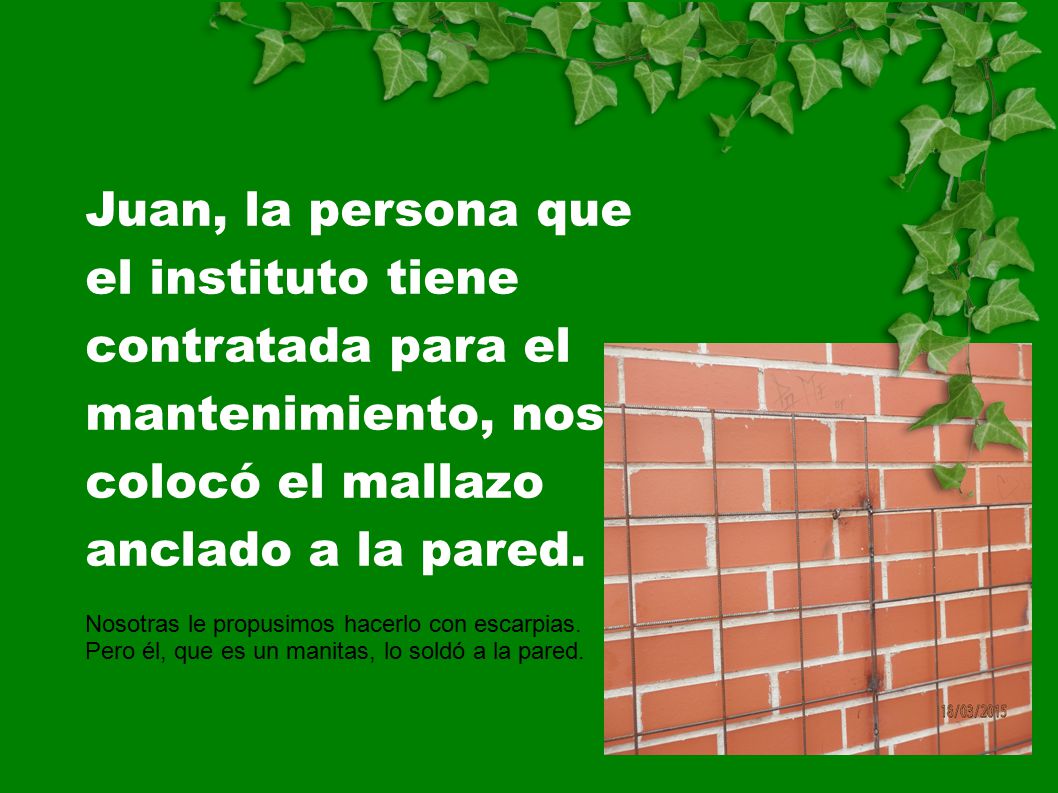 Juan, la persona que el instituto tiene contratada para el mantenimiento, nos colocó el mallazo anclado a la pared.