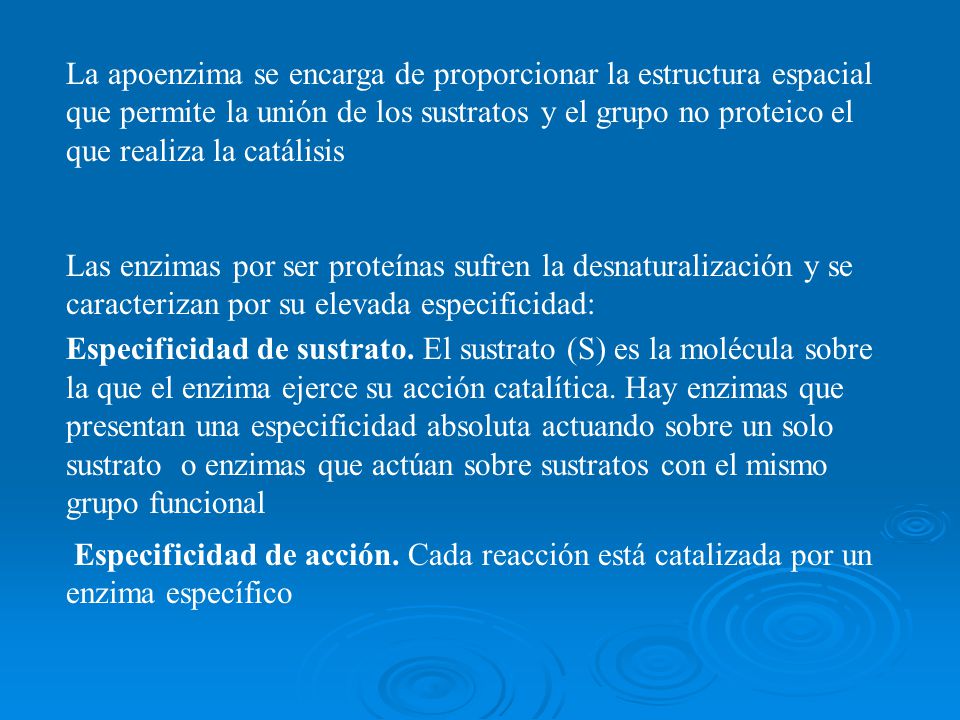 La apoenzima se encarga de proporcionar la estructura espacial que permite la unión de los sustratos y el grupo no proteico el que realiza la catálisis