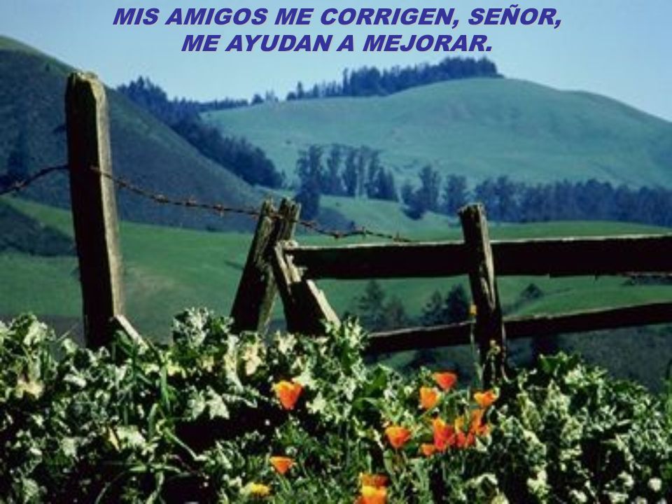 MIS AMIGOS ME CORRIGEN, SEÑOR, ME AYUDAN A MEJORAR.