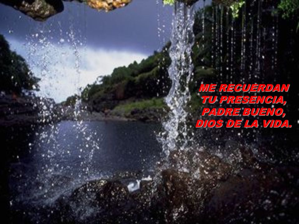 ME RECUERDAN TU PRESENCIA, PADRE BUENO, DIOS DE LA VIDA.