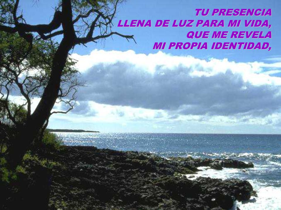TU PRESENCIA LLENA DE LUZ PARA MI VIDA, QUE ME REVELA MI PROPIA IDENTIDAD,