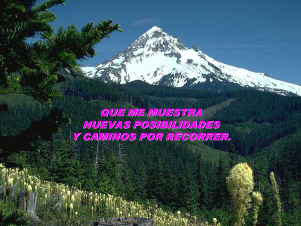 QUE ME MUESTRA NUEVAS POSIBILIDADES Y CAMINOS POR RECORRER.