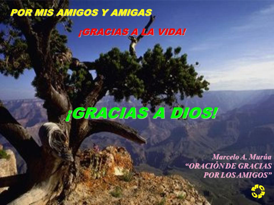 ¡GRACIAS A DIOS! MCMC POR MIS AMIGOS Y AMIGAS ¡GRACIAS A LA VIDA!