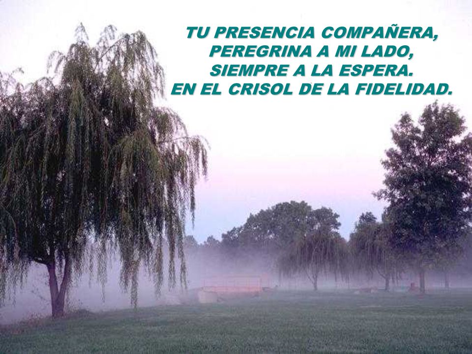 TU PRESENCIA COMPAÑERA, PEREGRINA A MI LADO, SIEMPRE A LA ESPERA