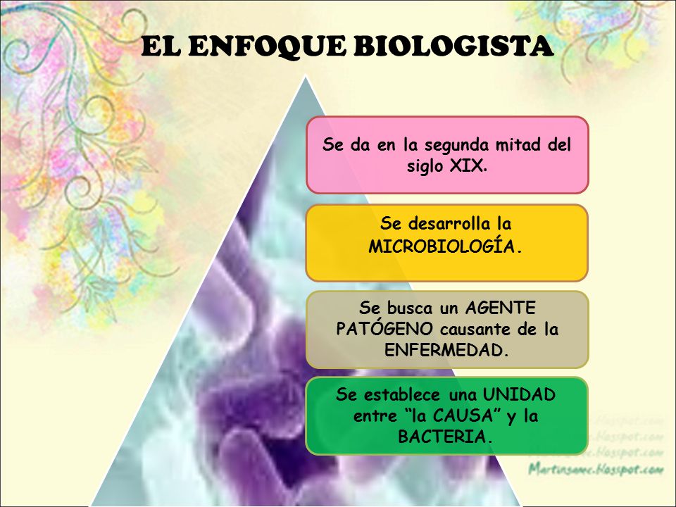 EL ENFOQUE BIOLOGISTA Se da en la segunda mitad del siglo XIX. Se desarrolla la MICROBIOLOGÍA.