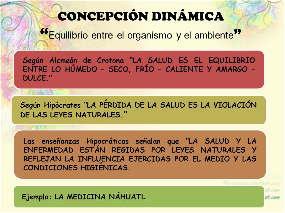 CONCEPCIÓN DINÁMICA Equilibrio entre el organismo y el ambiente