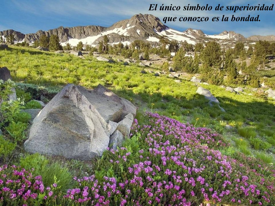 El único símbolo de superioridad que conozco es la bondad.