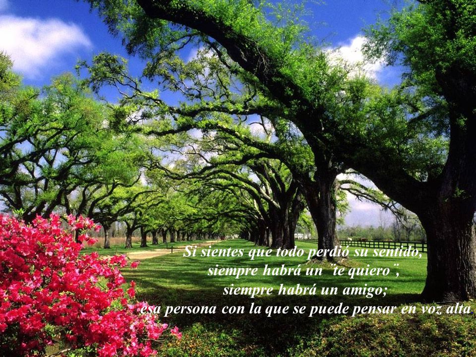 Si sientes que todo perdió su sentido, siempre habrá un ¨te quiero¨,