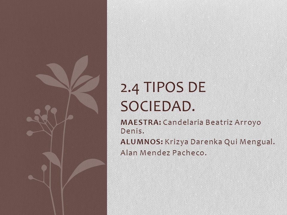 2.4 Tipos de sociedad. MAESTRA: Candelaria Beatriz Arroyo Denis.