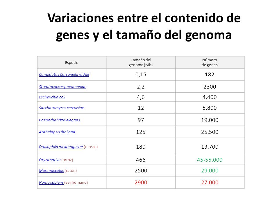 Variaciones entre el contenido de genes y el tamaño del genoma