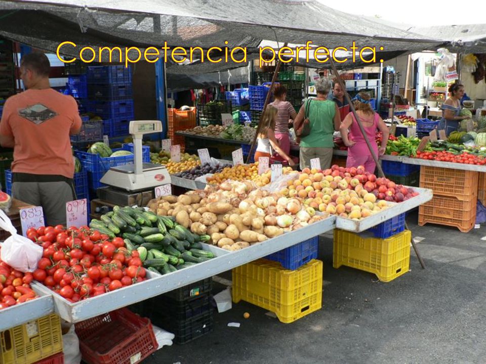 Competencia perfecta: