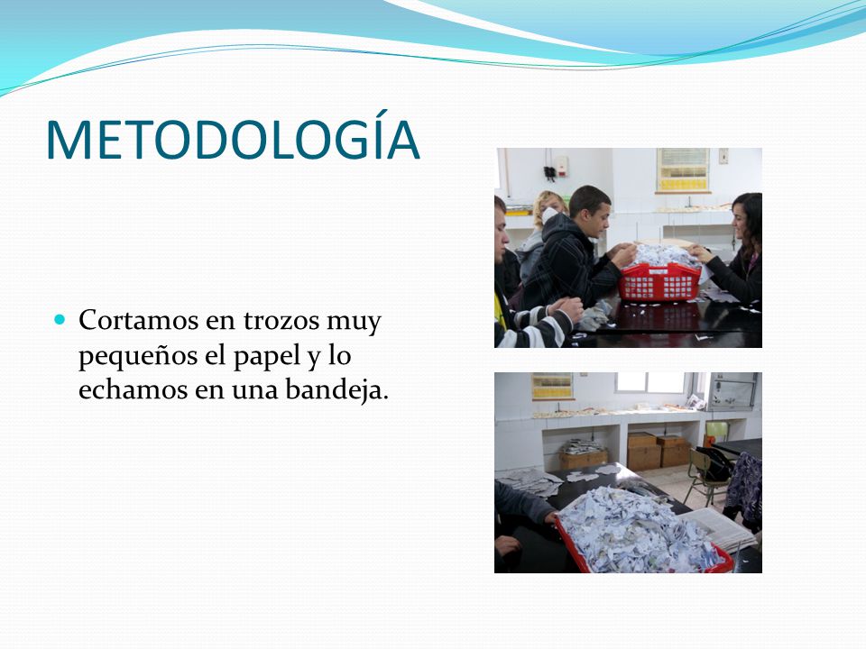 METODOLOGÍA Cortamos en trozos muy pequeños el papel y lo echamos en una bandeja.