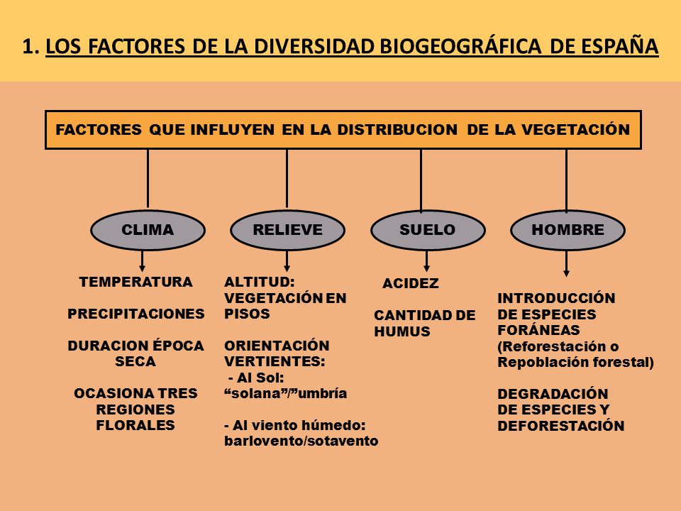 1. LOS FACTORES DE LA DIVERSIDAD BIOGEOGRÁFICA DE ESPAÑA