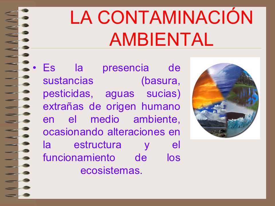 LA CONTAMINACIÓN AMBIENTAL