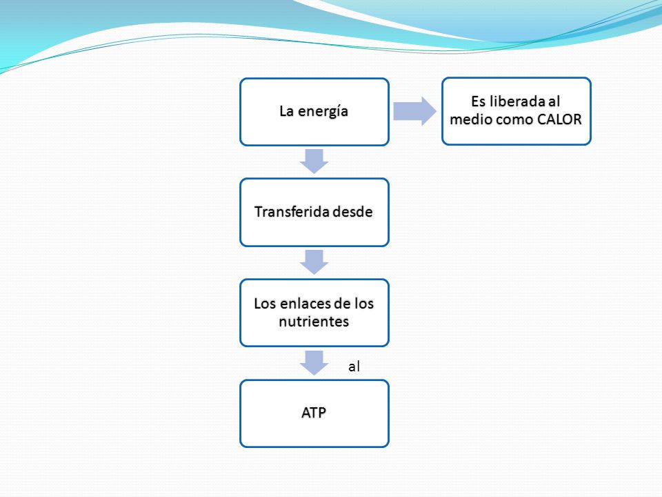 al Es liberada al medio como CALOR La energía Transferida desde