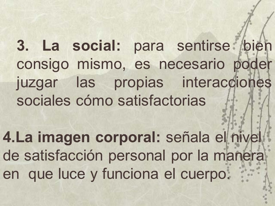 3. La social: para sentirse bien consigo mismo, es necesario poder juzgar las propias interacciones sociales cómo satisfactorias