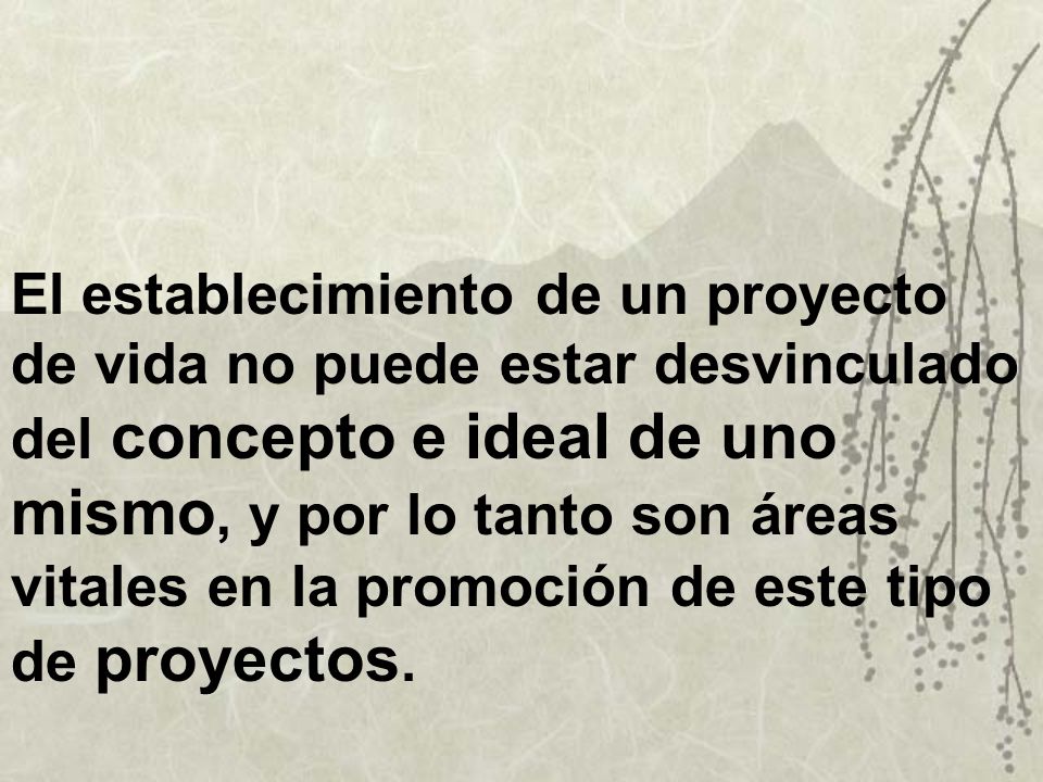 El establecimiento de un proyecto de vida no puede estar desvinculado del concepto e ideal de uno mismo, y por lo tanto son áreas vitales en la promoción de este tipo de proyectos.