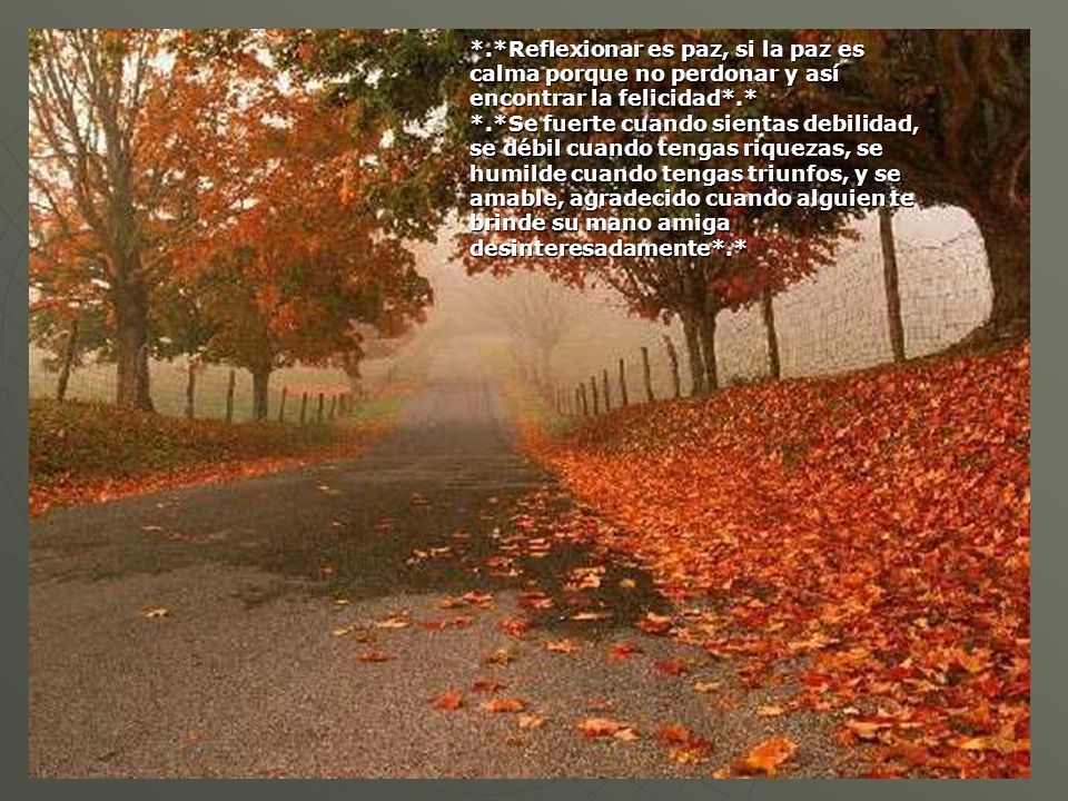 *.*Reflexionar es paz, si la paz es calma porque no perdonar y así encontrar la felicidad*.* *.*Se fuerte cuando sientas debilidad, se débil cuando tengas riquezas, se humilde cuando tengas triunfos, y se amable, agradecido cuando alguien te brinde su mano amiga desinteresadamente*.*
