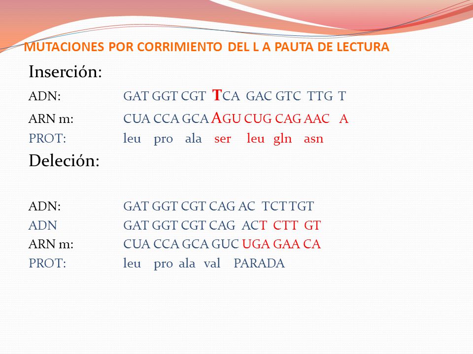 MUTACIONES POR CORRIMIENTO DEL L A PAUTA DE LECTURA