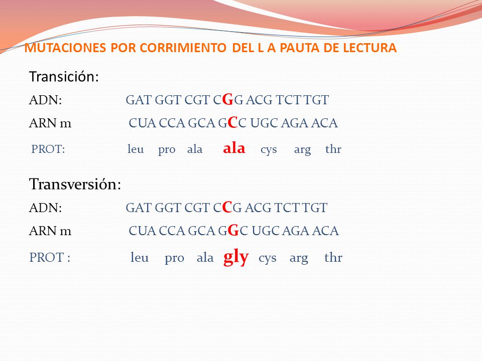 MUTACIONES POR CORRIMIENTO DEL L A PAUTA DE LECTURA