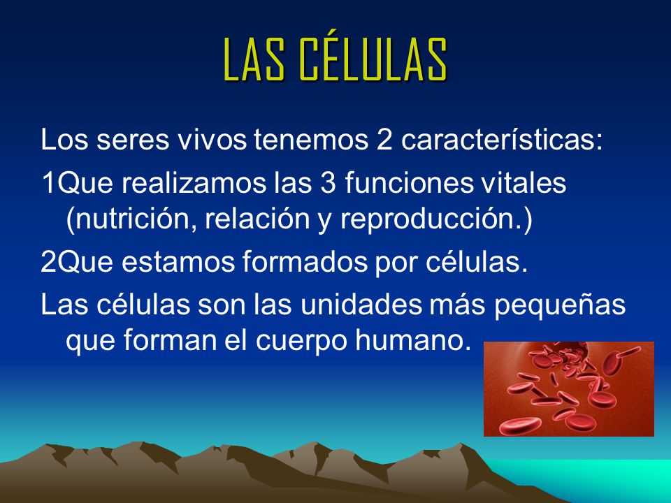 LAS CÉLULAS Los seres vivos tenemos 2 características: