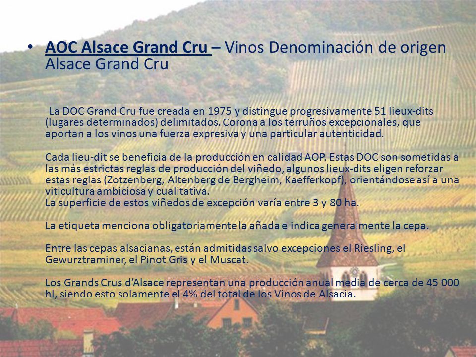 AOC Alsace Grand Cru – Vinos Denominación de origen Alsace Grand Cru