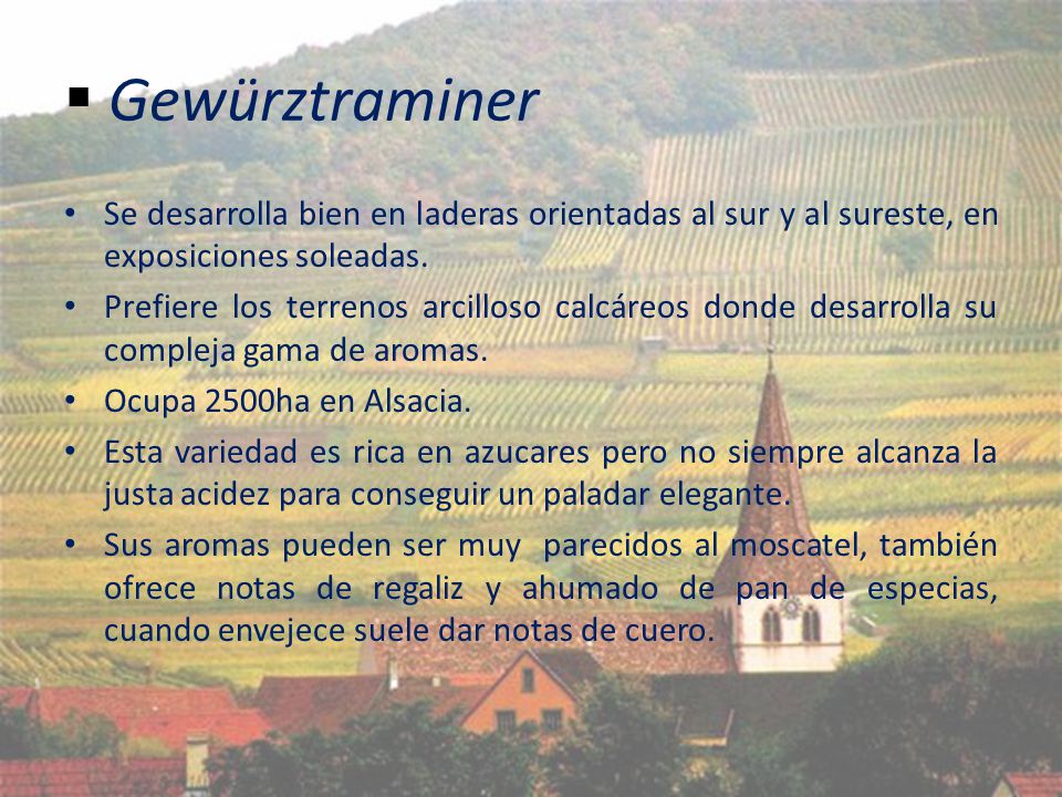 Gewürztraminer Se desarrolla bien en laderas orientadas al sur y al sureste, en exposiciones soleadas.