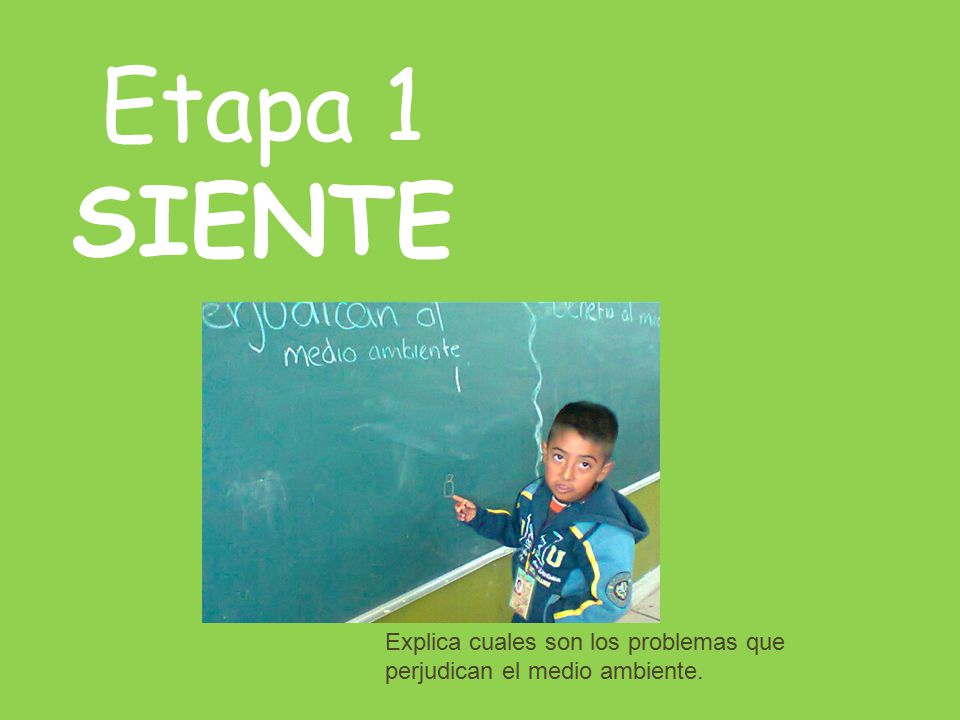 Etapa 1 SIENTE Explica cuales son los problemas que perjudican el medio ambiente.