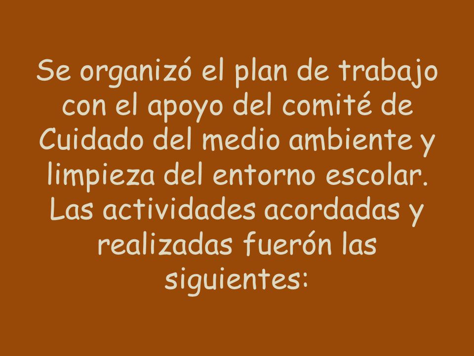 Se organizó el plan de trabajo con el apoyo del comité de Cuidado del medio ambiente y limpieza del entorno escolar.