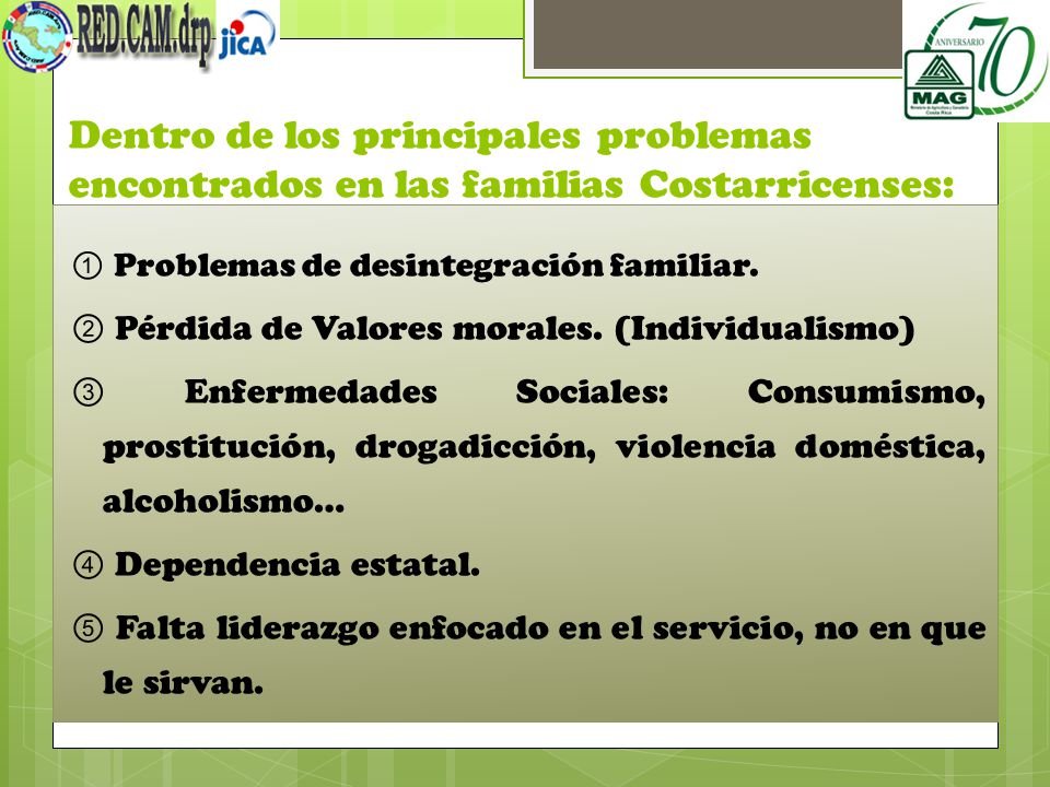 Dentro de los principales problemas encontrados en las familias Costarricenses: