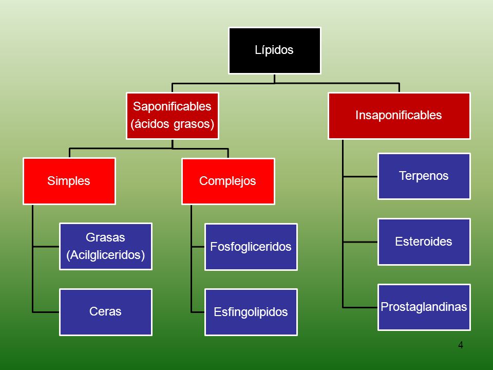 Lípidos Saponificables. (ácidos grasos) Simples. Grasas. (Acilgliceridos) Ceras. Complejos. Fosfogliceridos.