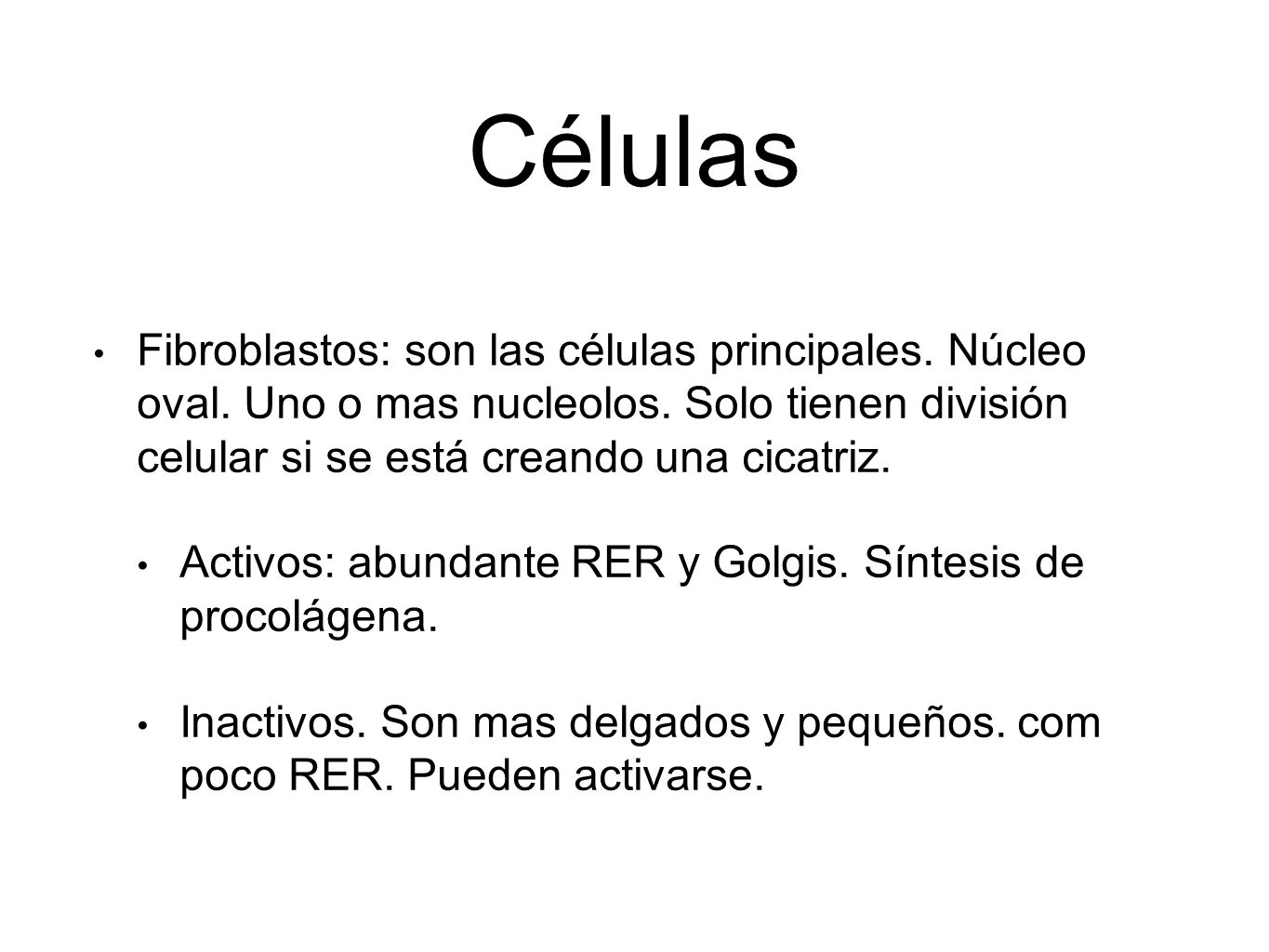 Células Fibroblastos: son las células principales. Núcleo oval. Uno o mas nucleolos. Solo tienen división celular si se está creando una cicatriz.