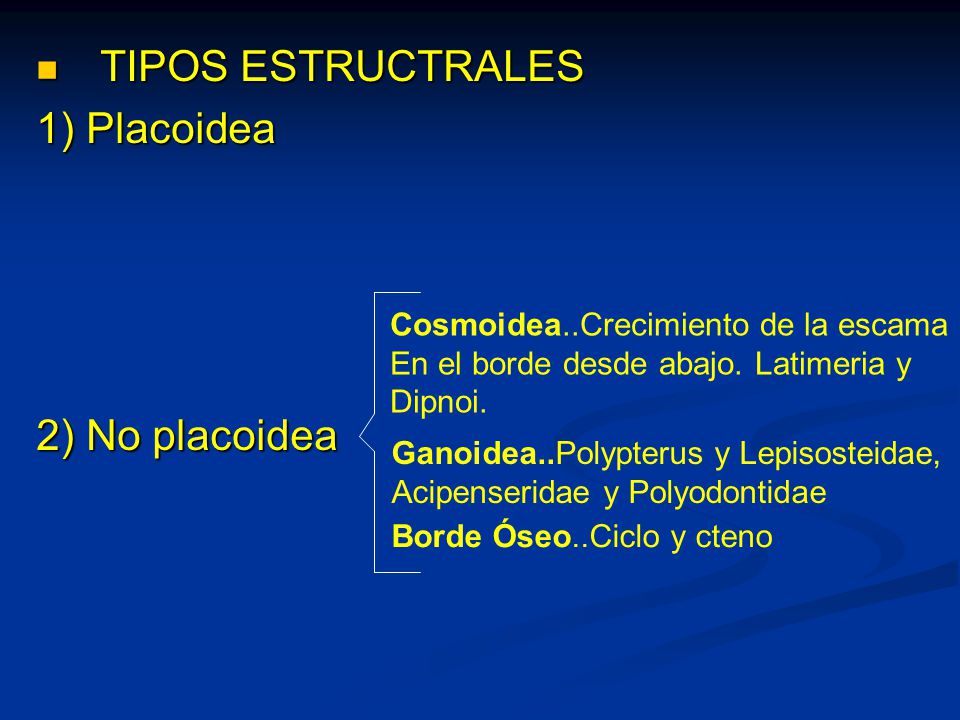 TIPOS ESTRUCTRALES 1) Placoidea 2) No placoidea